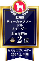 2024年上半期 ティーカッププードルブリーダー お客様評価 北海道 2位