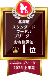 2025年上半期 スタンダードプードルブリーダー お客様評価 北海道 1位