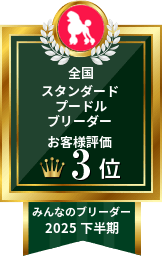 2025年下半期 スタンダードプードルブリーダー お客様評価 全国 3位