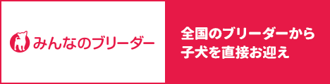 みんなのブリーダー 全国のブリーダーから子犬を直接お迎え